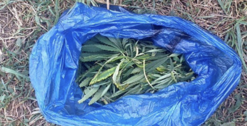 Пакет с марихуаной нашли у жителя Кочубеевского округа  